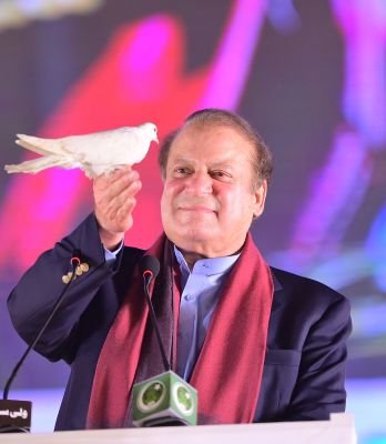 muqaddam388's profile picture. I love PML (N)