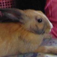 NAWMEE naahrin (@nawmee90) 's Twitter Profile