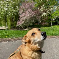 Daniel#Trzaskowski2025 (@danielfelberg1) 's Twitter Profile