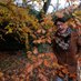 Dennis Van der Kuylen (@nelyukrednav) Twitter profile photo Dennis Van der Kuylen (@nelyukrednav) Twitter profile photo
