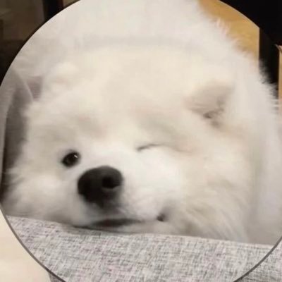 sinnさんのプロフィール画像