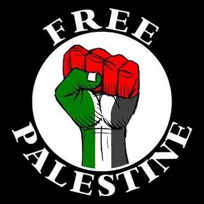 Stand With 🇵🇸 Palestine ( کشمیر بنے گا پاکستان)