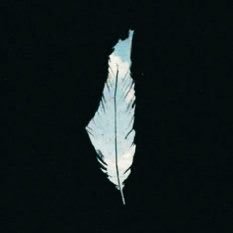 danyalishere's profile picture. A Muslim, A Pakistani, A Lawyer.