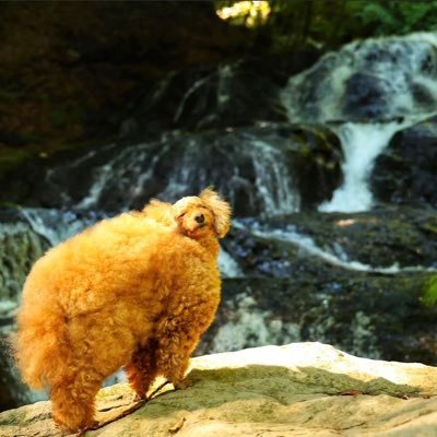 BBBSOfficial's profile picture. 