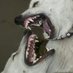 aries | -11lb (@dubiousnuff) Twitter profile photo aries | -11lb (@dubiousnuff) Twitter profile photo