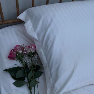 raeed20083's profile picture. لآ احّدَ يسْتَطِيعُ ﺎلعَودَةُ لِيَصْنعَ بدّايَة جُدَيّدة ولَكِنّ الكلّ يَسْتطِيُع انّ يَبْدأ ﺎليُومَ ليُصّنعَ نِهَايّة جَمِيلةُ ✉.