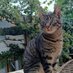Phamien Lionel (@lionelpham58288) Twitter profile photo Phamien Lionel (@lionelpham58288) Twitter profile photo