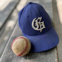 Guelph Minor Baseball (@guelphbaseball) 's Twitter Profile