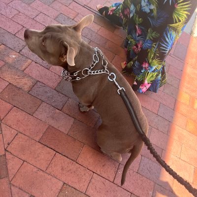 itsbananas83's profile picture. 