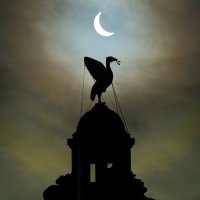 Around Liverpool (@aroundliv) 's Twitter Profile