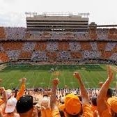 #GBO #VFL