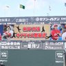 matsu295776543's profile picture. まっちゃん

野球⚾️⚾️
旅✈️
