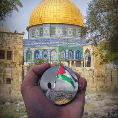 GegeAli1692773's profile picture. 