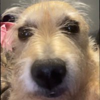 lopez (@pablolop_12) 's Twitter Profile