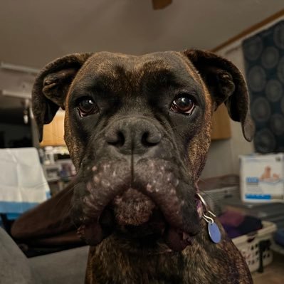 FancherKaren51's profile picture. 