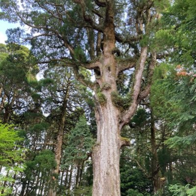 ykz1845689's profile picture. 2024 ドル円は利上げで円安止まりそう。中央競馬は相変わらず難しい。インフレは2%くらいで推移するのかな。