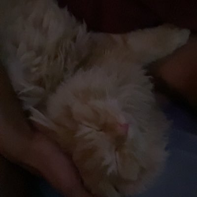 a_dbis's profile picture. في اجازة من التواصل الاجتماعي