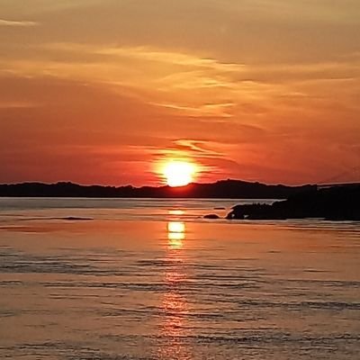 soracharbone's profile picture. Abogada ⚖ y Prof. Universitaria 📚