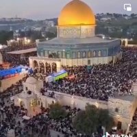 Yacine K16 (@k16_yacine76142) Twitter profile photo