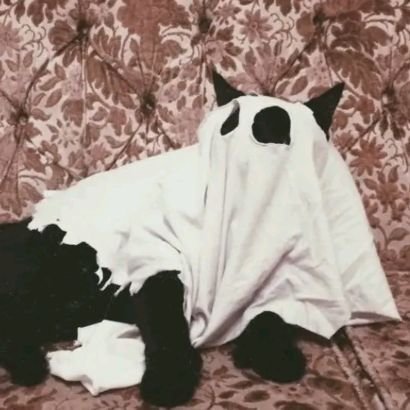 Kaybwenさんのプロフィール画像