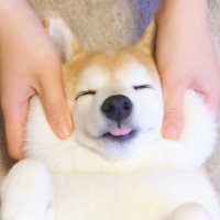 Duwang (@gnawud9) 's Twitter Profile Photo Duwang (@gnawud9) 's Twitter Profile Photo