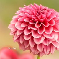 k.aki.photo (@kaki_photograph) 's Twitter Profile Photo k.aki.photo (@kaki_photograph) 's Twitter Profile Photo