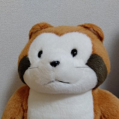 ラスカルファン歴数十年‥ 。 ラスカルに埋もれながら暮らす住人。若干疲れ気味。 あらいぐま『カルカル団』に期待❗️楽しみーっ