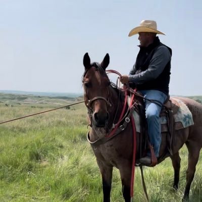 Ranching in North Dakota Badlands. 🇺🇸. NDSU Bison fan.🤘