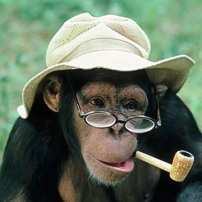 siriysA's profile picture.