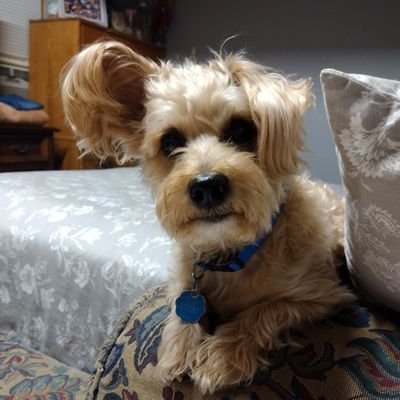 Jmaspage's profile picture. All American GenX girl! Faith,family,and freedom,is what my life is based on. #MAGA 24/7/365!!!🙏🇺🇲🌎