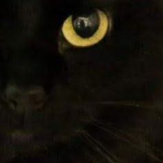 LValance44's profile picture. #Benghazi #Extortion17 Matter to me & my community 🇺🇸 11 Bravo Army #Veteran #Blackfoot 
 #AnimalRescue 🐈‍⬛ Volunteer #IStandwithIsrael 
🚂 list=BLOCK