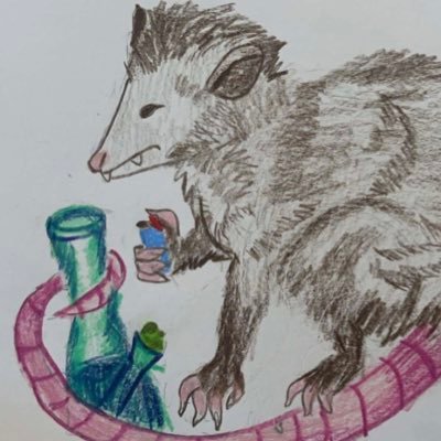 goblinsinsocks's profile picture. Just a he/him goblin ((adult man))