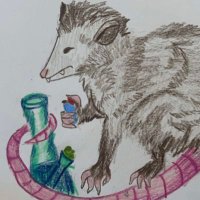 Alistair (@goblinsinsocks) 's Twitter Profile