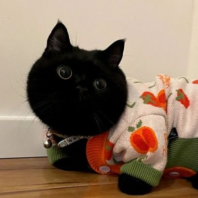 WuQi744837's profile picture. 