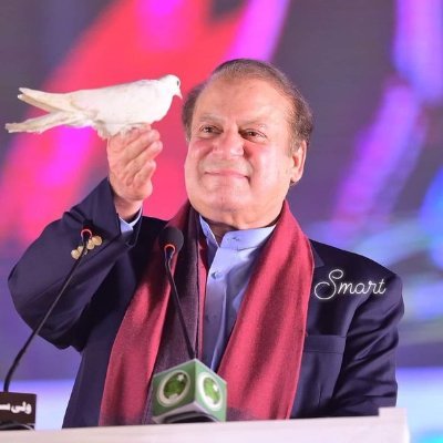 I am pmln workar jhang Pakistan zindabad i love miyan Nawaz Shareef Sahab♥️