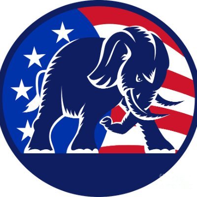 affilanation's profile picture. Looking forward to 2025