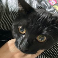 mem (@reigtyiw9gssycy) 's Twitter Profile