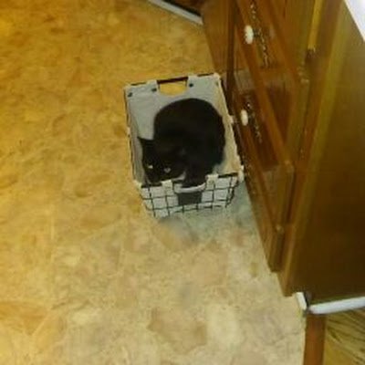 Soupysoup12345's profile picture. 