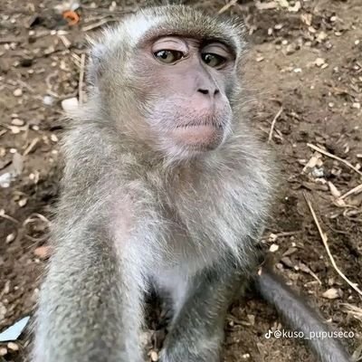 Zinedine_0's profile picture. 🎡