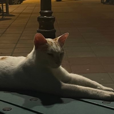 goodridance_'s profile picture. 