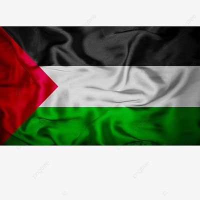 🇵🇸🕊️🇵🇸 ¡Viva Palestina Libre!