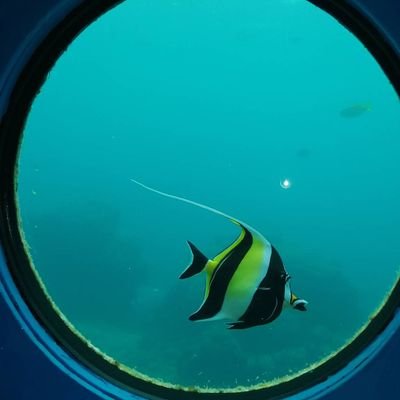 renriino's profile picture. 3人の子どもがいる40代主婦です☆
気ままに思ったことを発信していきたいです。
興味のある方へフォローさせていただきます。無言フォロー失礼致します。