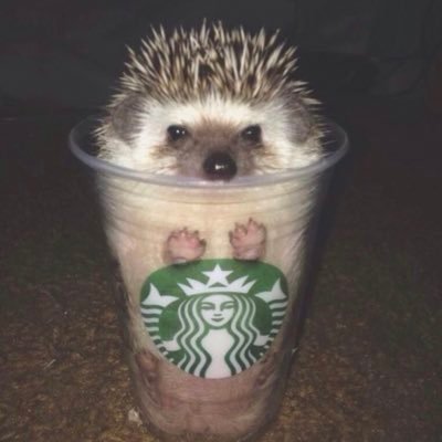 teradakento2000's profile picture. 