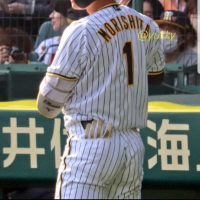 阪神タイガース　森下翔太押し　ロックバンド　SIXLOUNGE 　マイヘア　スーパービーバー　　　　
ﾊﾞﾆﾗｽﾞ　ハルカミライ　HEYスミスなど