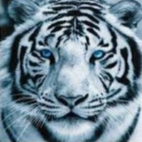 White Tiger (@whitetiger0594) 's Twitter Profile