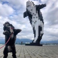 Xander いち 🇵🇭 (@xanderilo) 's Twitter Profile