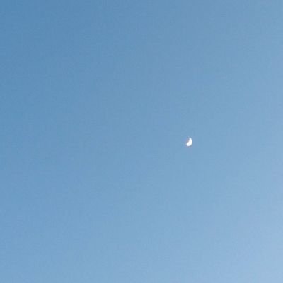 anxietygoright's profile picture. When my anxiety goes right..