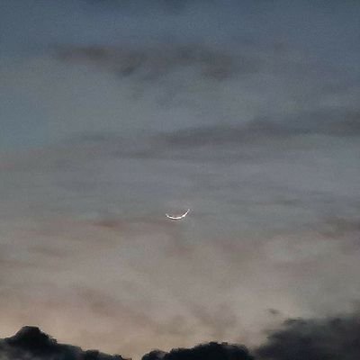 Royshowkat12's profile picture. #SUBCRIBEPLZ 👇 
https://t.co/tBwRcLu930