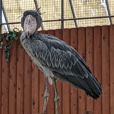 sugimie2's profile picture. 