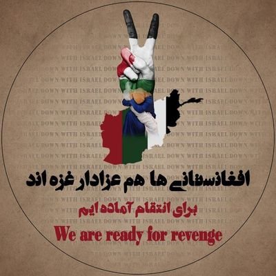 #لیسانسه سیاست کثیف . عکاس بیحوصله. تدوینگر بی ذوق و شوق...